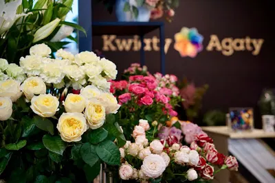 Kwiaty Agaty - Białystok Kwiaciarnia